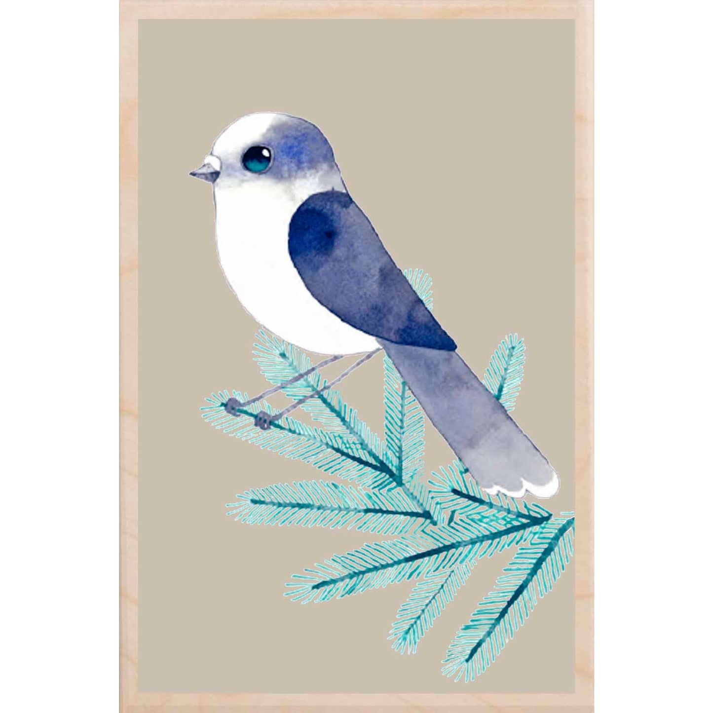 Canada Jay Wooden Postcard Matt Sewell Birds