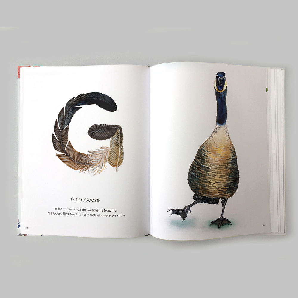 ABC With Birds Children's Book Eleish Van Breems Home