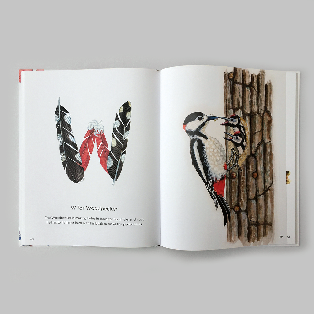 ABC With Birds Children's Book Eleish Van Breems Home