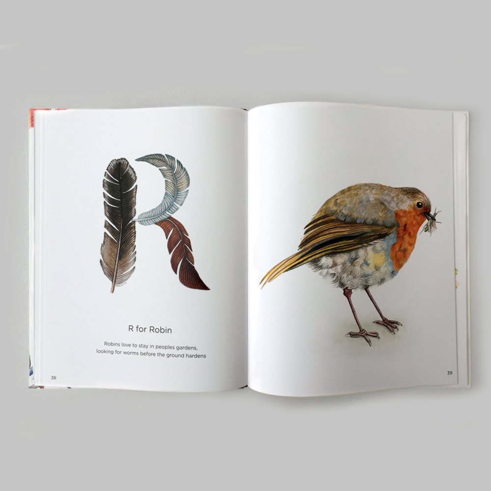 ABC With Birds Children's Book Eleish Van Breems Home