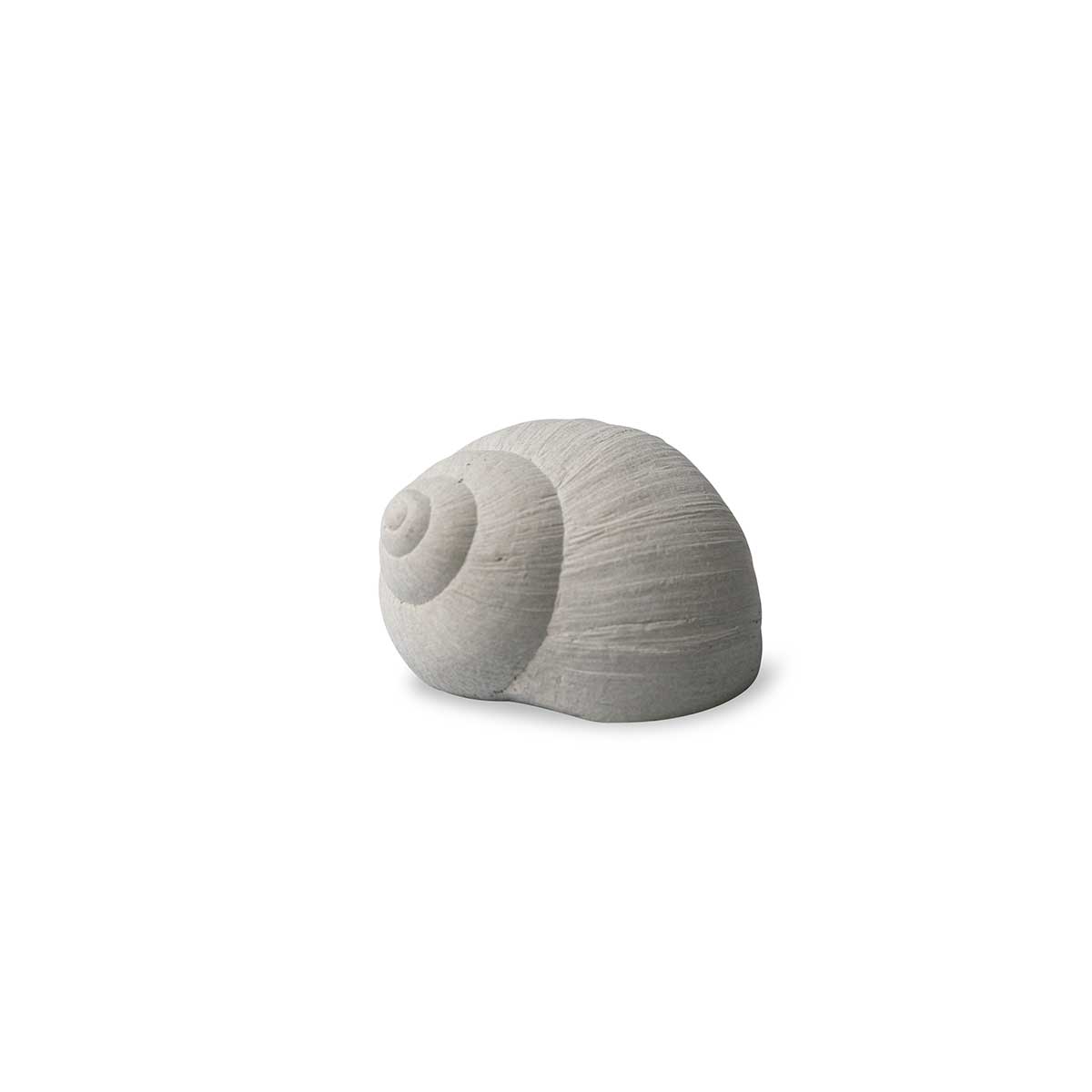 Concrete Snail Shell Decoration Eleish Van Breems Home