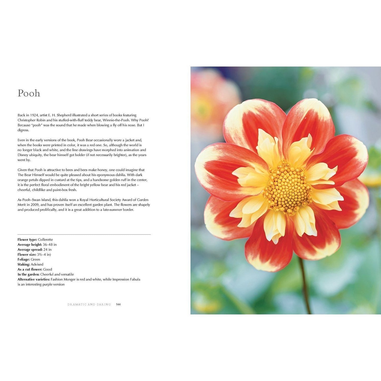 Dahlias: Beautiful Varieties for Home & Garden Eleish Van Breems Home