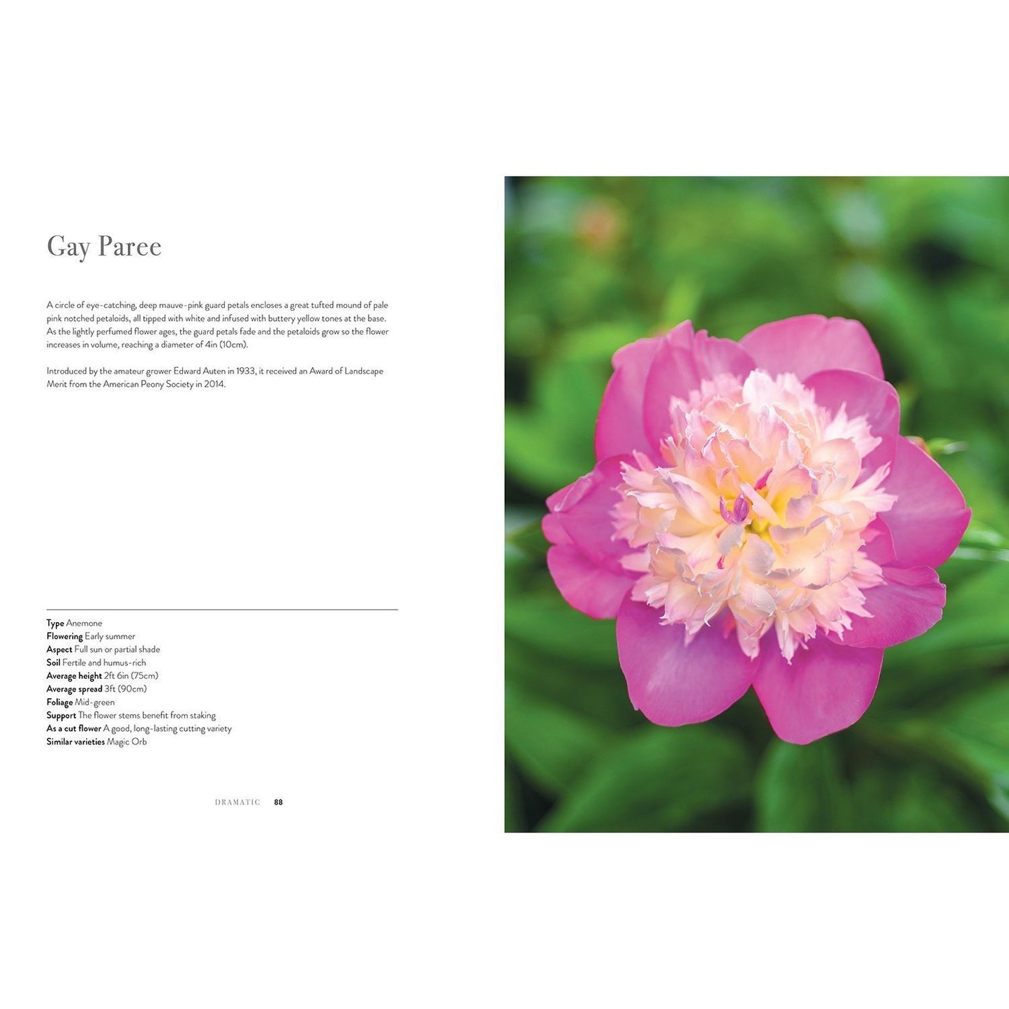 Peonies: Beautiful Varieties for Home & Garden Eleish Van Breems Home