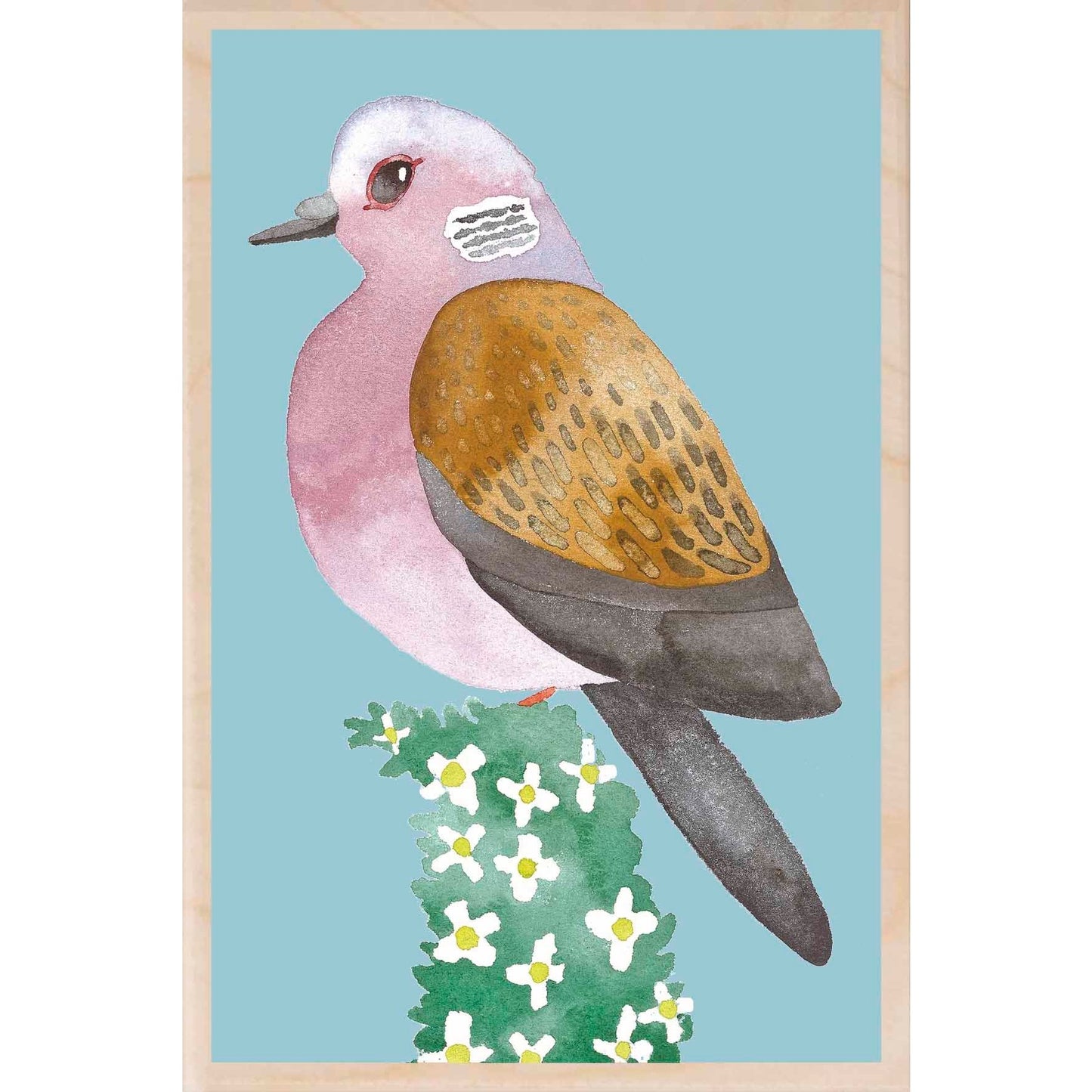 Turtle Dove On Hedge Wooden Postcard Matt Sewell Birds