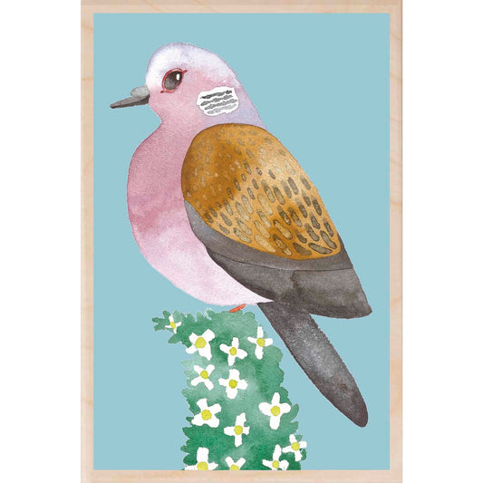 Turtle Dove On Hedge Wooden Postcard Matt Sewell Birds