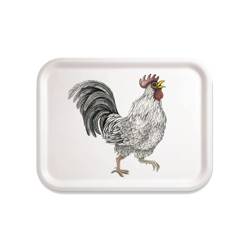 Charlotte Nicolin Large Rectangle Tray Ralph Eleish Van Breems Home