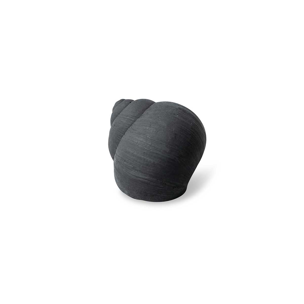 Concrete Snail Shell Decoration Graphite Grey Eleish Van Breems Home