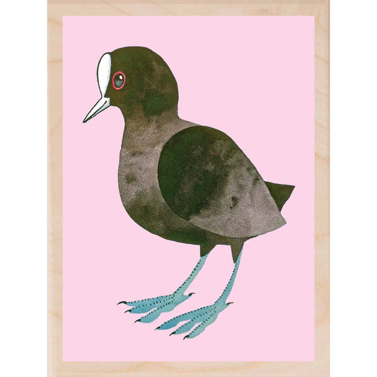 Coot Wooden Postcard Matt Sewell