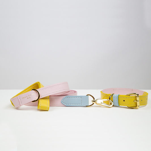 Leather Dog Leash Palm Beach Eleish Van Breems Home
