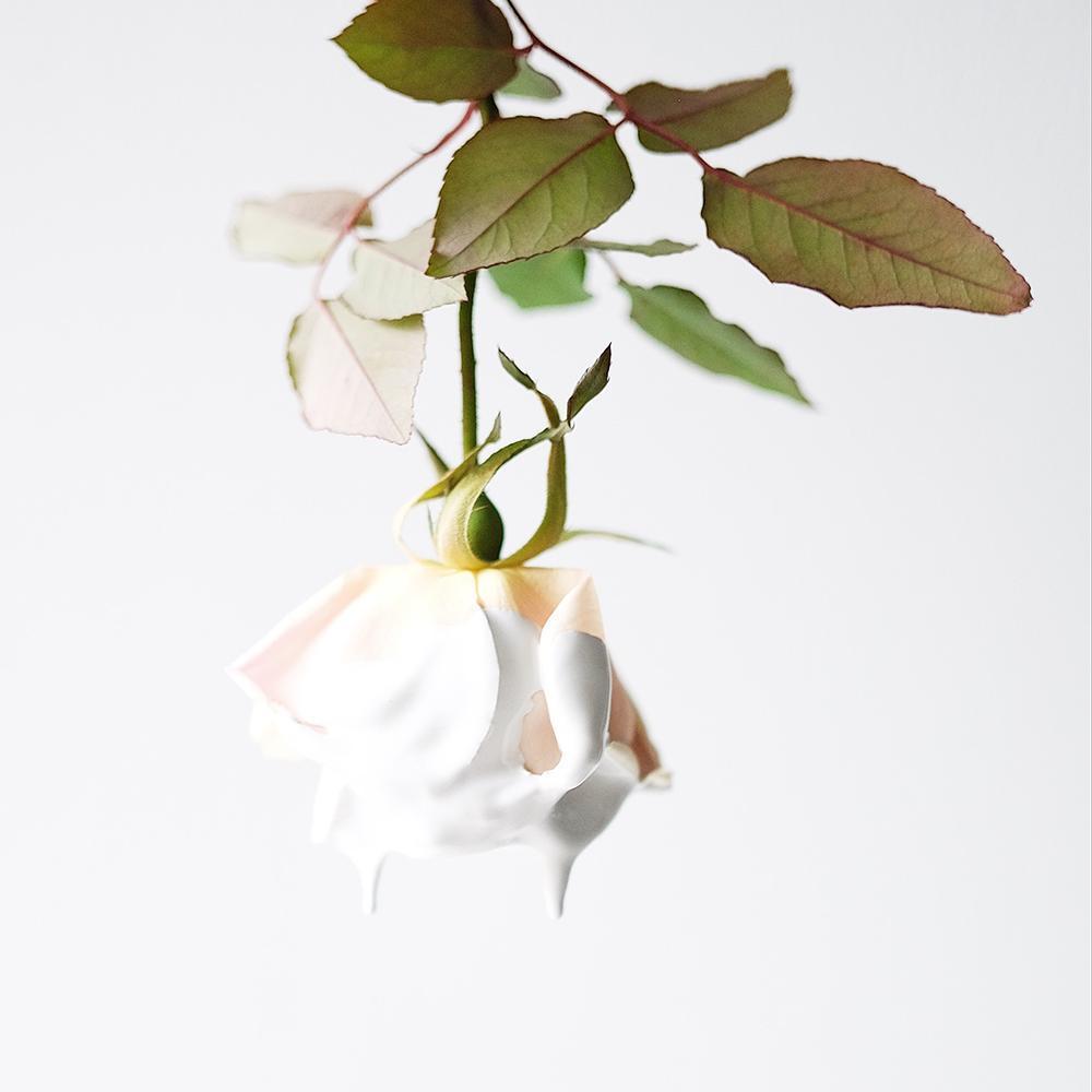 Rosa Botanic Mist Eleish Van Breems Home