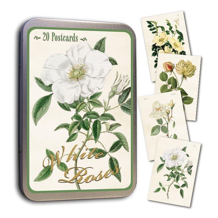 Tin with 20 postcards White Roses Eleish Van Breems Home