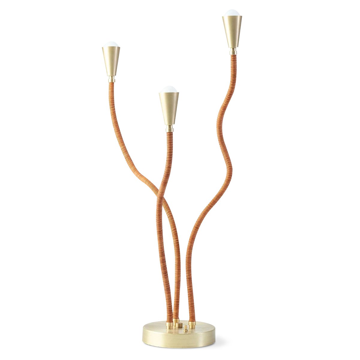 Trident Table Lamp Brushed Brass for Eleish Van Breems